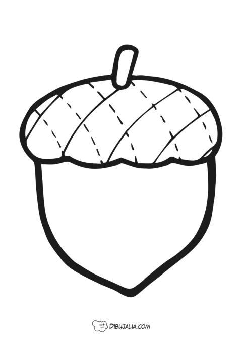 Bellota fruta del otoño