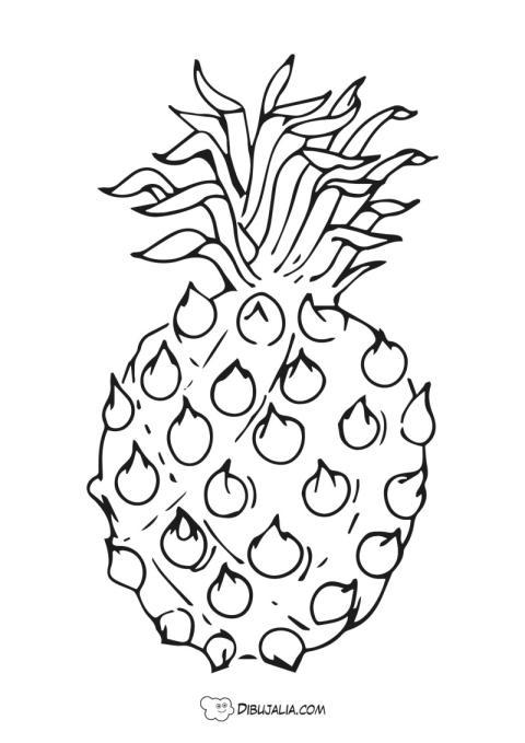 Pin?a tropical