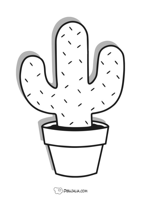 Maceta con Cactus