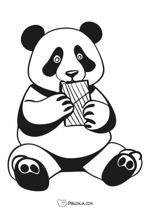 Oso Panda come chocolate