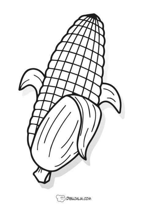 Mazorca de maiz
