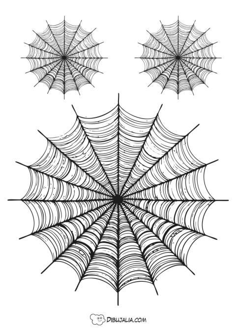 Tela de araña