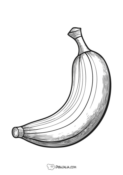 Platano o banana