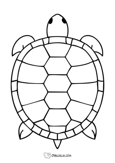 Una Tortuga Marina
