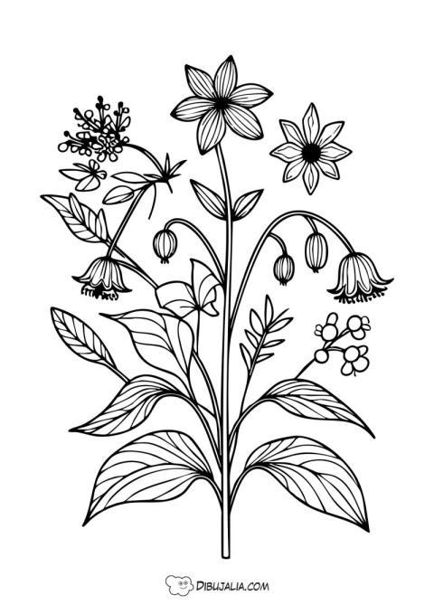 Flores silvestres