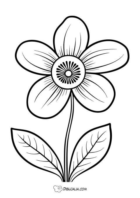 Flor Margarita