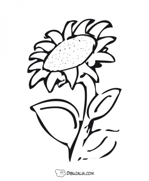 Girasol en flor - Dibujo #11 - Dibujalia - Dibujos para Colorear y Recursos  Educativos