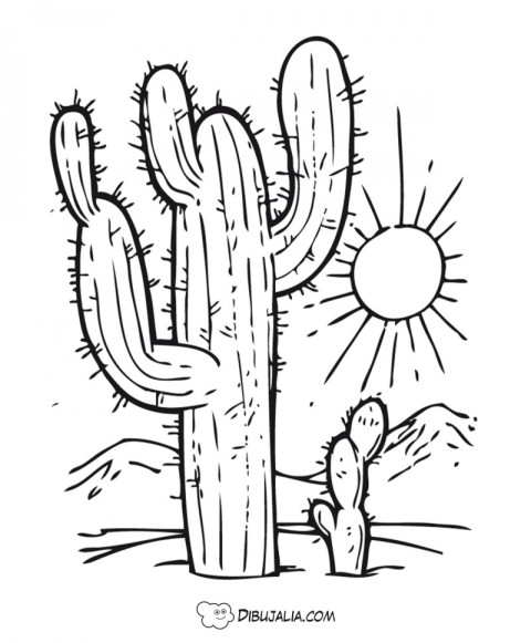 Cactus del desierto - Dibujo #14 - Dibujalia - Dibujos para Colorear y  Recursos Educativos