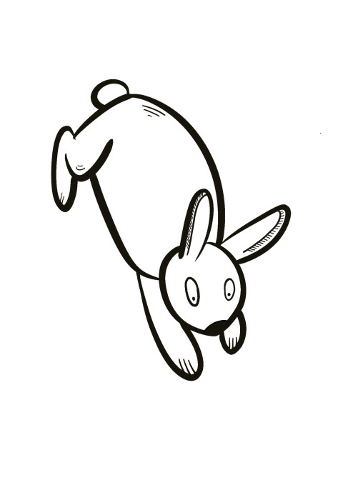 Conejo saltador