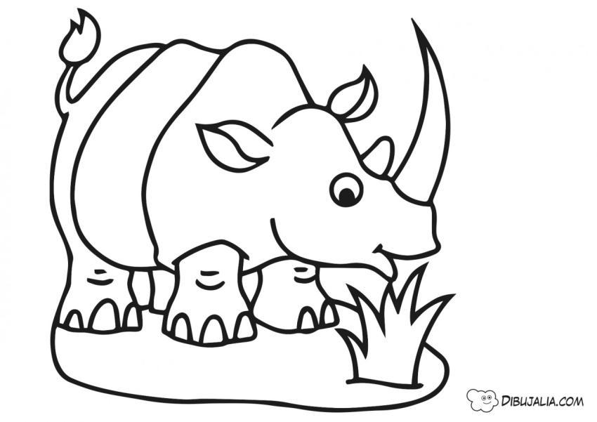 Rinoceronte en la selva