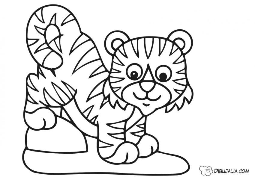 Tigre Bebé muy gracioso