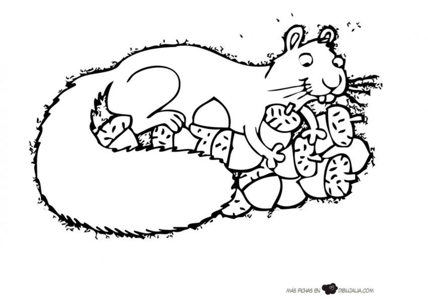 Ardilla con Bellotas