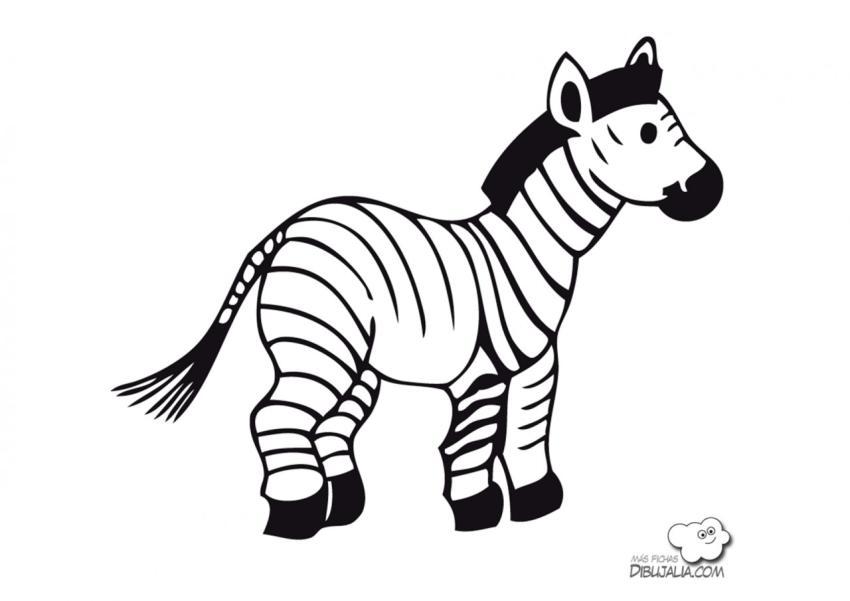 Cebra joven con rayas