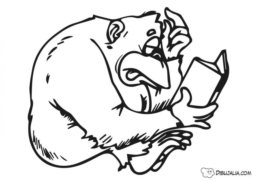 Gorilla lee un libro