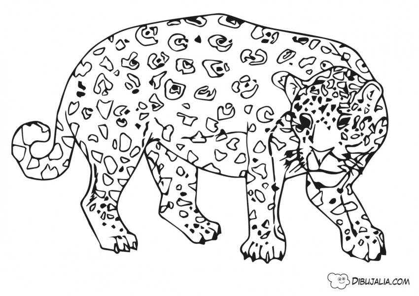 Guepardo Jaguar