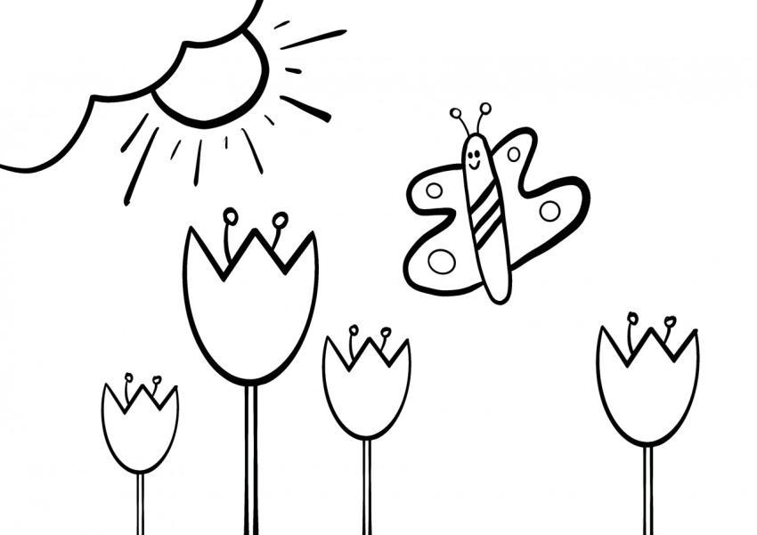 Paisaje mariposa y amapolas