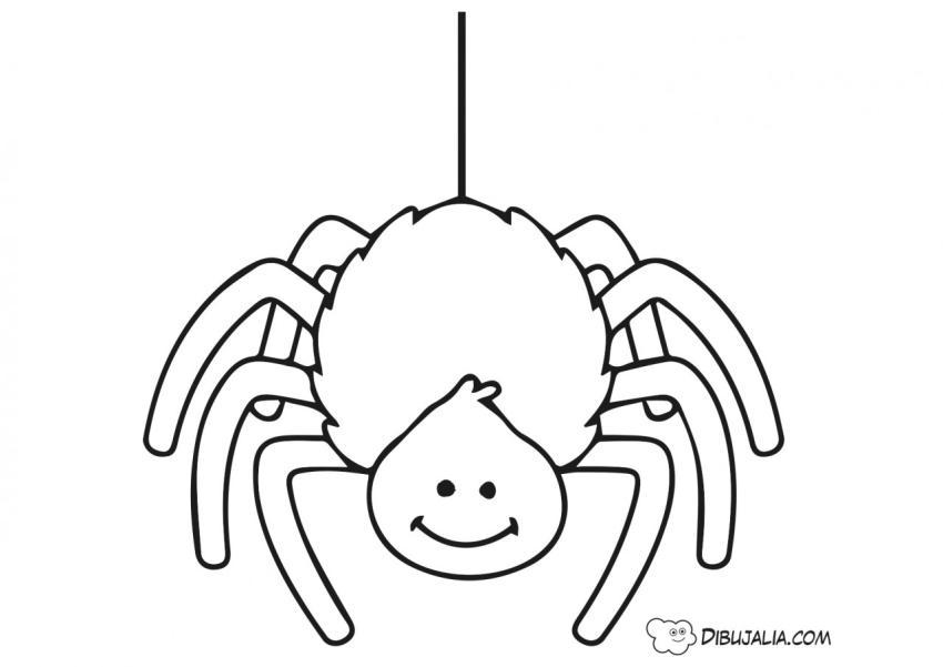 Araña de halloween para decorar