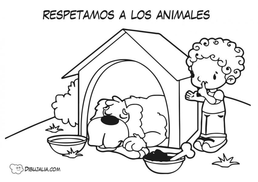 Consejo Respetamos a los animales