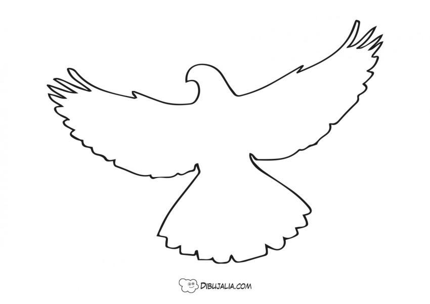 Silueta paloma de grandes alas