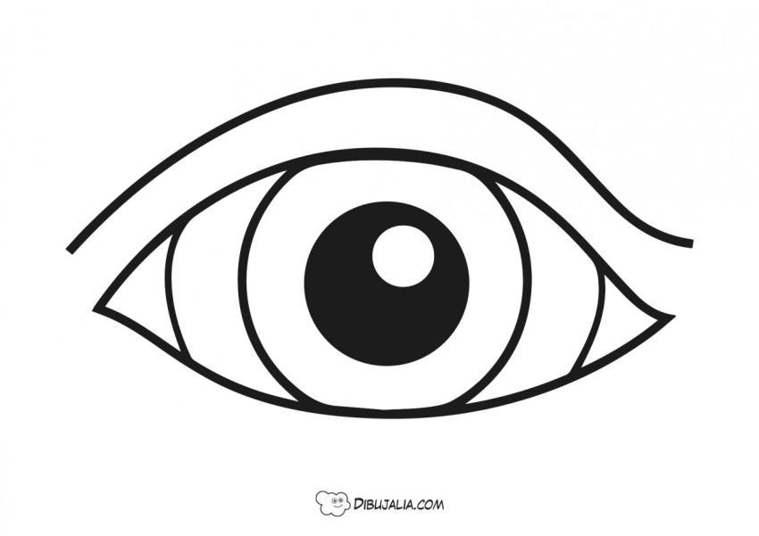 Ojo muy brillante