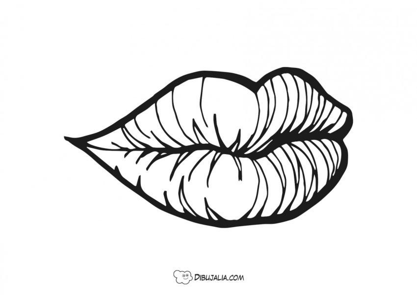 Labios
