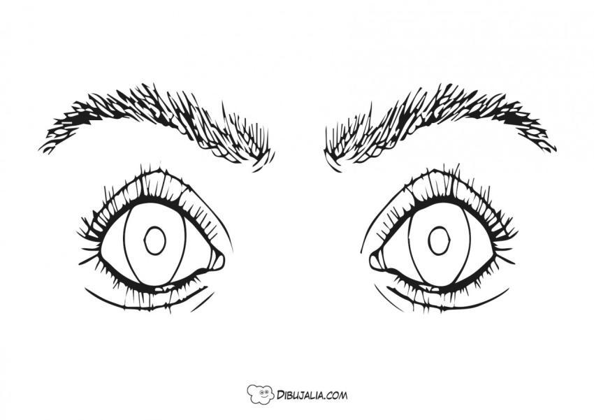 Ojos con cejas