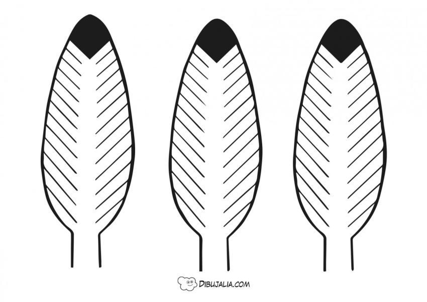Plantilla de Plumas para disfraz