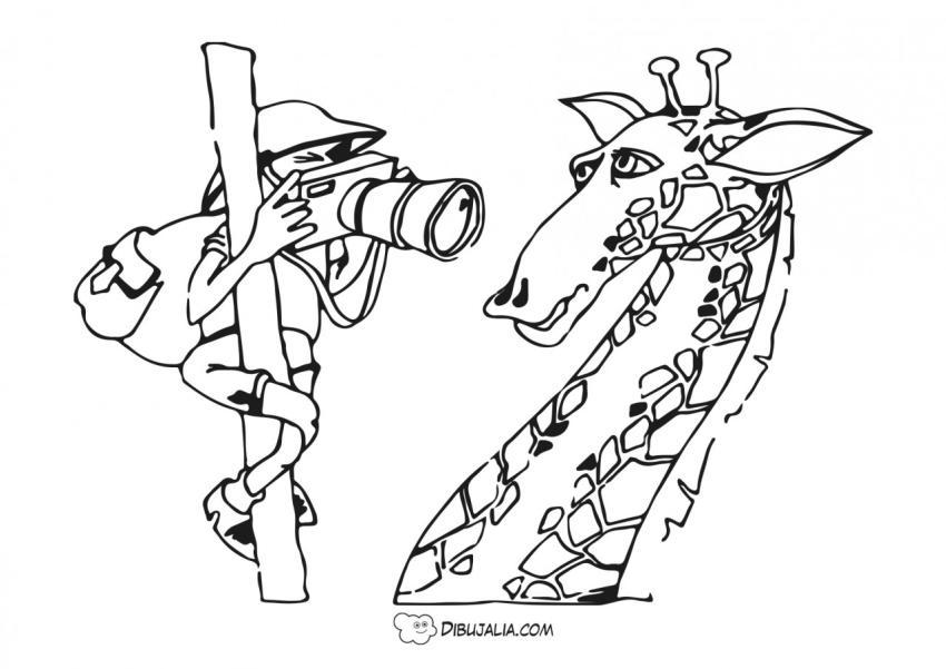 Jirafa con Fotógrafa