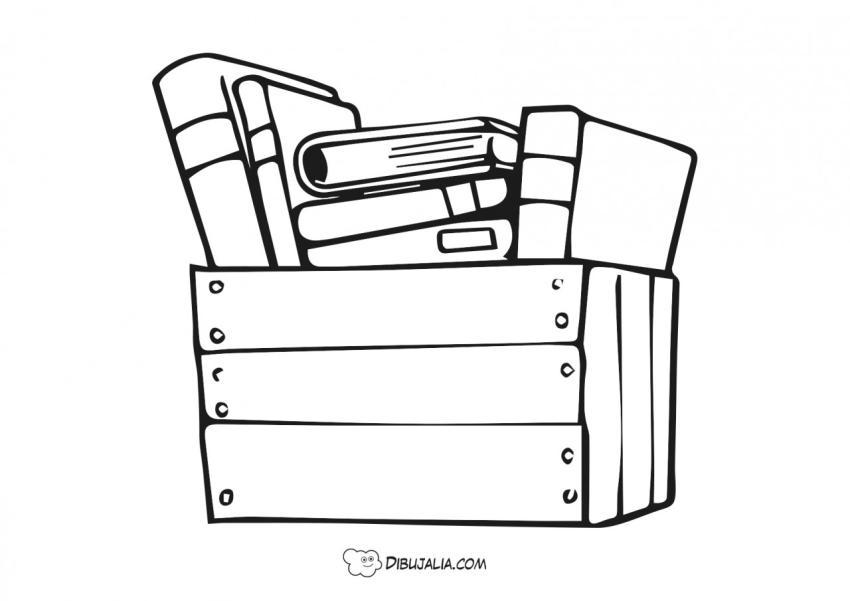 Caja llena de libros