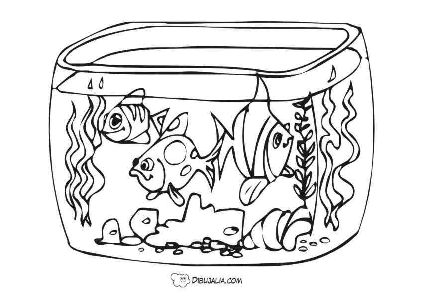 Acuario pecera