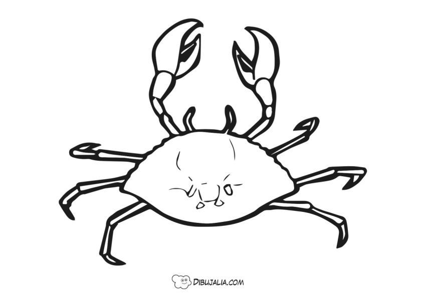 Cangrejo