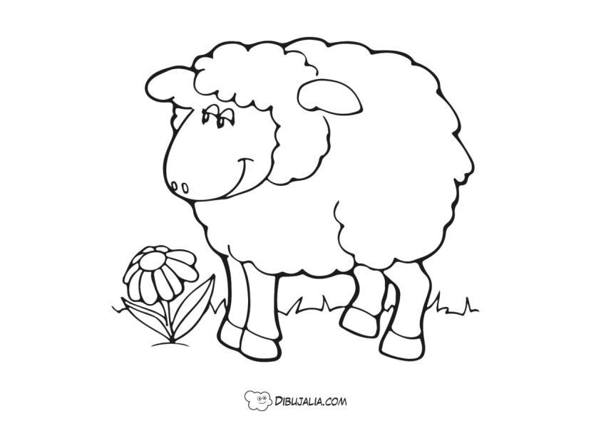 Oveja con una flor