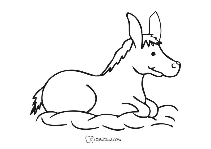 Burro sentado