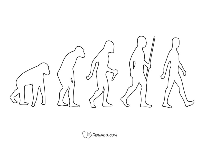 Evolución de los humanos