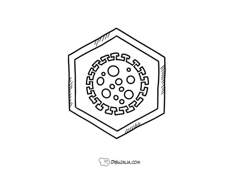 Alerta Virus Covid19