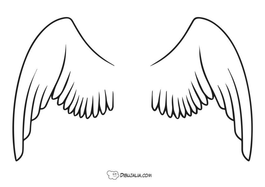 Alas de ángel