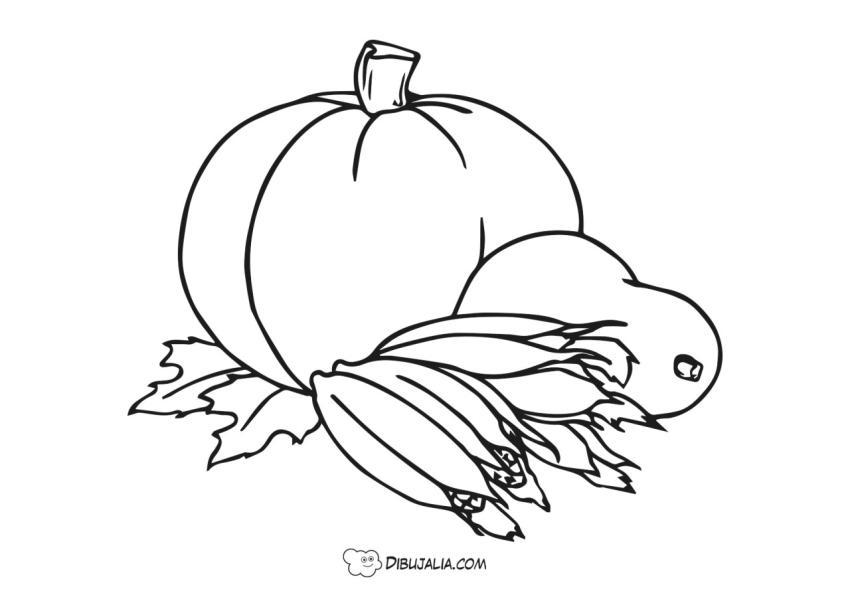 Calabaza y maíz