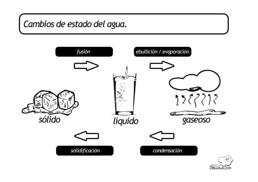 Cambios de Estado del Agua