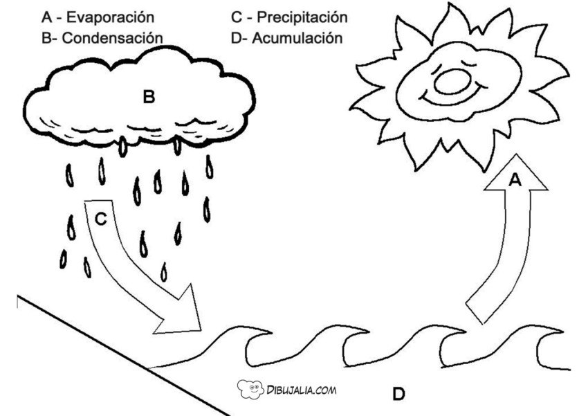 Ciclo del agua