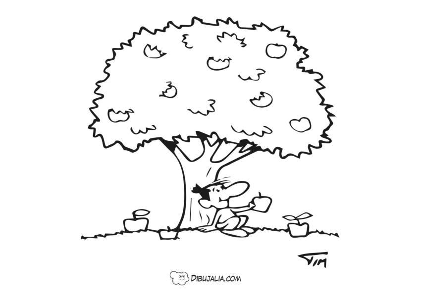 Manzano con manzanas