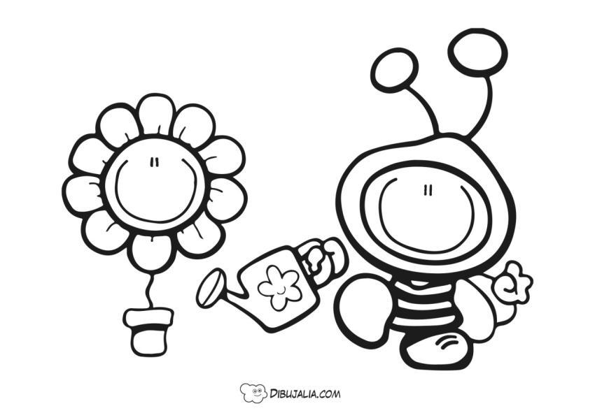 Cuidando las Plantas