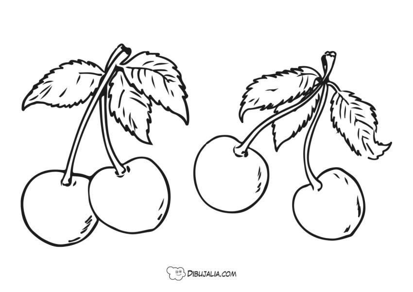 Cerezas con su ramita