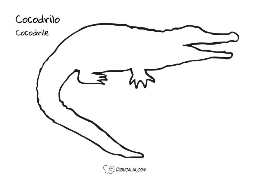 Silueta de Cocodrilo