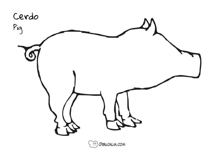 Silueta de un Cerdo