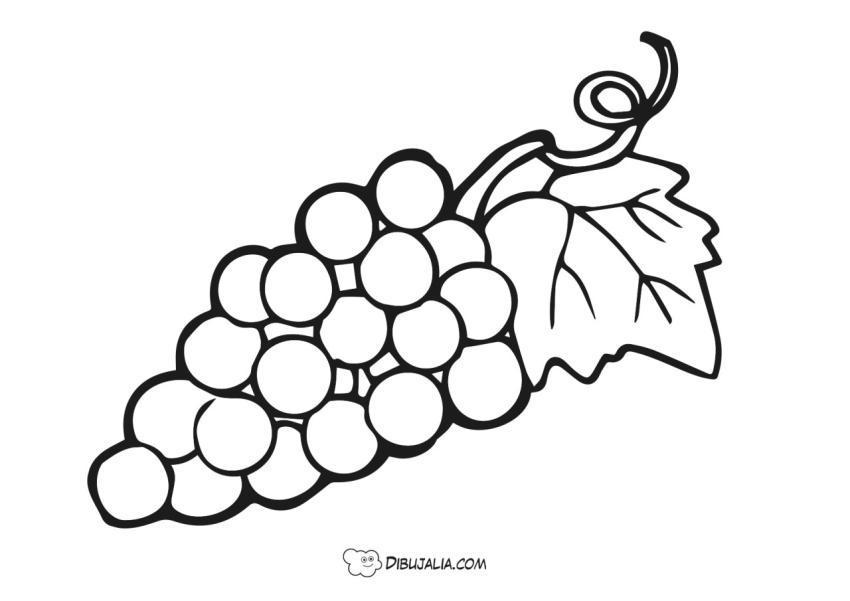 Racimo de Uva muy rica