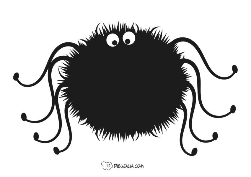 Super Aran?a divertida