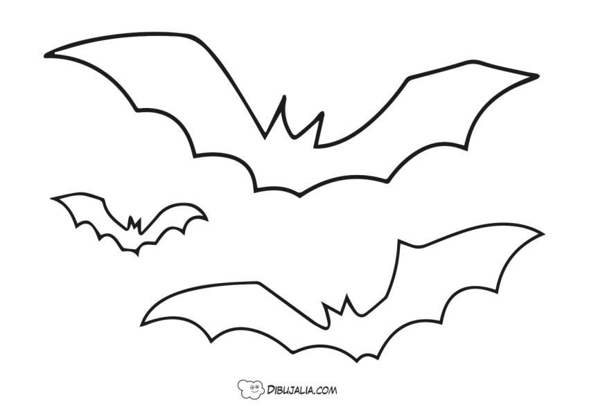 Murcielélagos en la noche