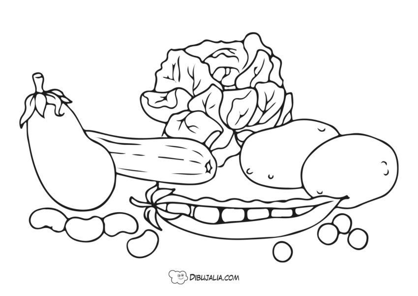 Verduras y hortalizas