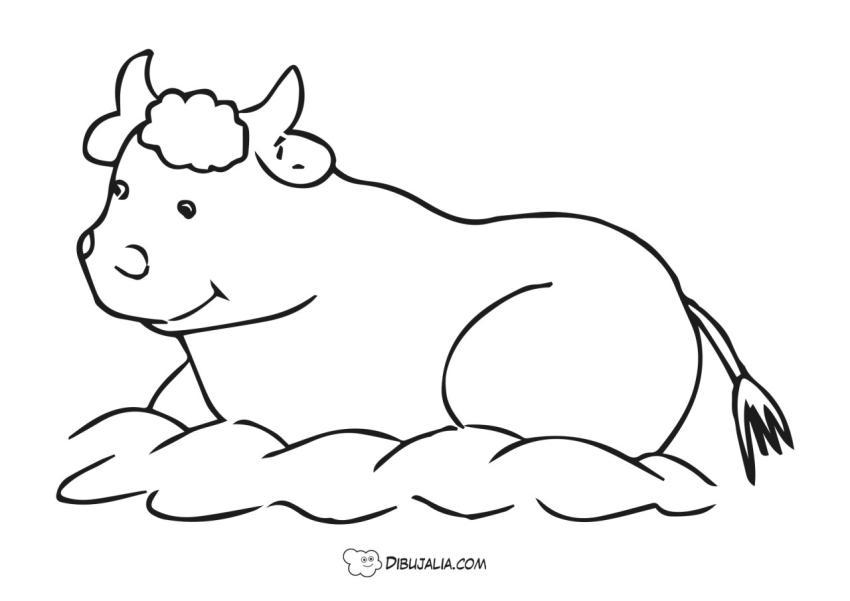 Buey para el portal de Belén