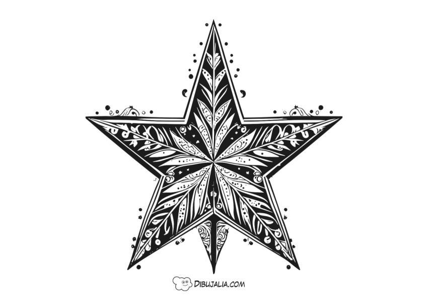Estrella de Navidad